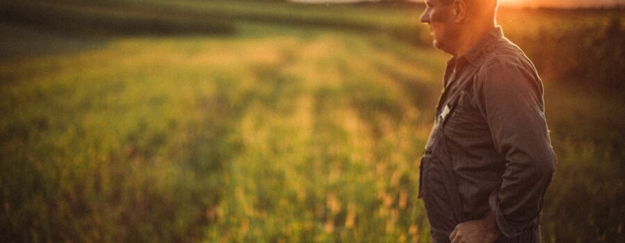 Cabinet experts comptables Normandie Tacher Acogex Agriculteur